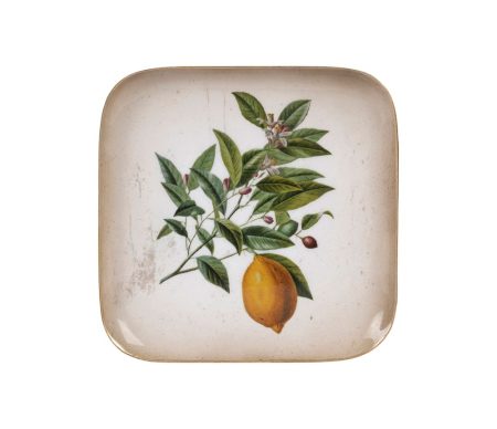 plateau-citronnier-botanique-vert-jaune-16x16cm-fer-40341_40341_DEB_WEB_5